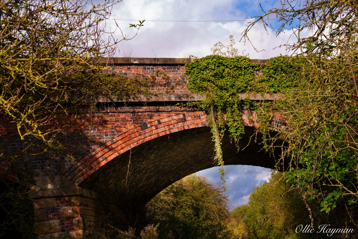 Autumn Bridge