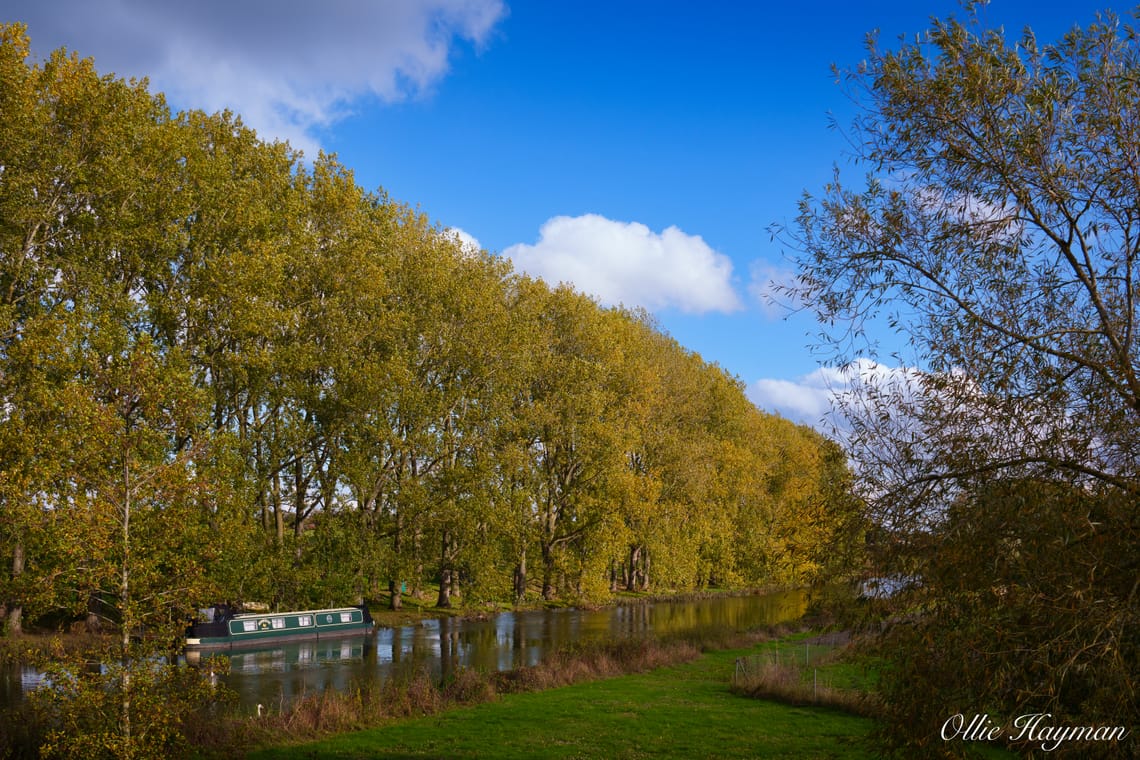 Along the canal
