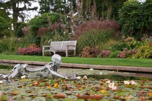 Statue in the lily pond