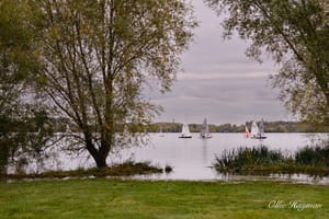 Boats on the lake