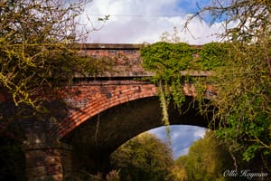 Autumn Bridge