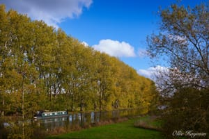 Along the canal