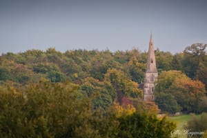 Church in the Autumn Canopy