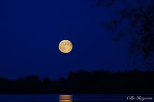 Hunter's Supermoon 2024